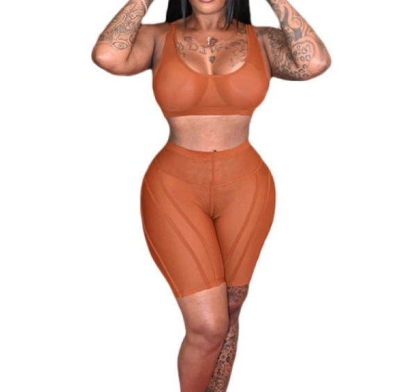 Extremely Stretchy 2 Pc Sheer Bra Top With Shorts